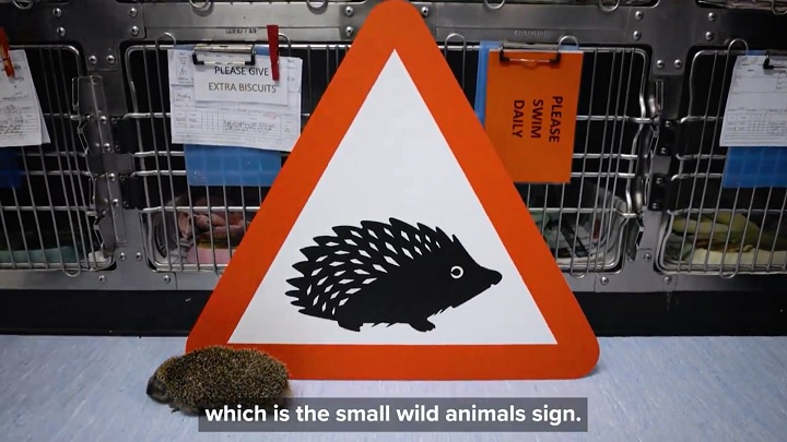 Simpler road signs 'to protect small animals and boost safety